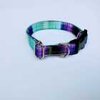 Coleira Cachorro Smooty Pet P Estampada - 2 Lilás/verde