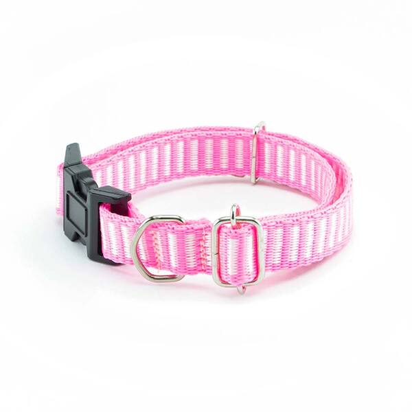 Coleira Cachorro Smooty Pet P Listrada Rosa Neon/branco