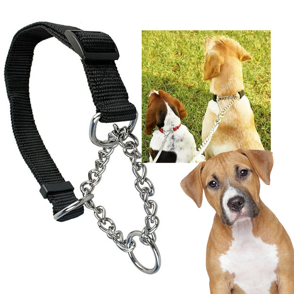 Coleira Caes Cachorro 2.0 Cm Ajustavel Semi Enforcadora Elo T