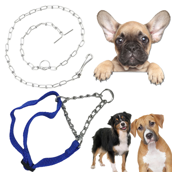 Coleira Cao Cachorro Ajustavel Semi Enforcadora Corrente Aço