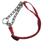 Coleira Cao Cachorro Dog Semi Enforcadora Ajustavel Kit Guia