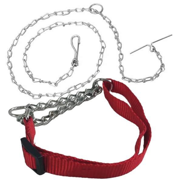 Coleira Cao Cachorro Guia Kit Passeio Dog Semi Enforcadora Aj