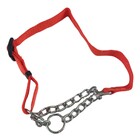 Coleira Corrente Nylon 2.5cm Aço Elo Torcido Enforcador Cacho