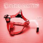 Coleira De Cachorro Regulável G Vermelho Com Led E Bateria -