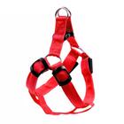 Coleira De Cachorro Regulável G Vermelho Com Led E Bateria -