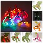 Coleira De Cachorro Regulável M Rosa Com Led E Bateria - Casa