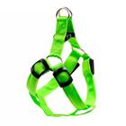 Coleira De Cachorro Regulável Pp Verde Com Led E Bateria - Ca