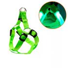 Coleira De Cachorro Regulável Pp Verde Com Led E Bateria - Ca