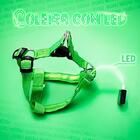 Coleira De Cachorro Regulável Pp Verde Com Led E Bateria - Ca