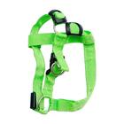 Coleira De Cachorro Regulável Pp Verde Com Led E Bateria - Ca