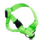 Coleira De Cachorro Regulável Pp Verde Com Led E Bateria - Ca