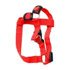 Coleira De Cachorro Regulável Pp Vermelho Com Led E Bateria -