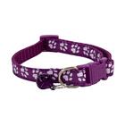 Coleira De Cachorro Roxo Com Sino Pequeno - Casambiente