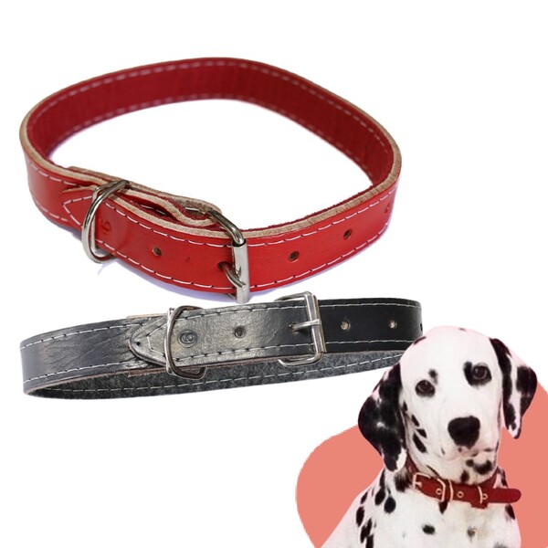 Coleira De Couro Reforçada Para Cães 60cm Nº 8 Ld Pet  Preto