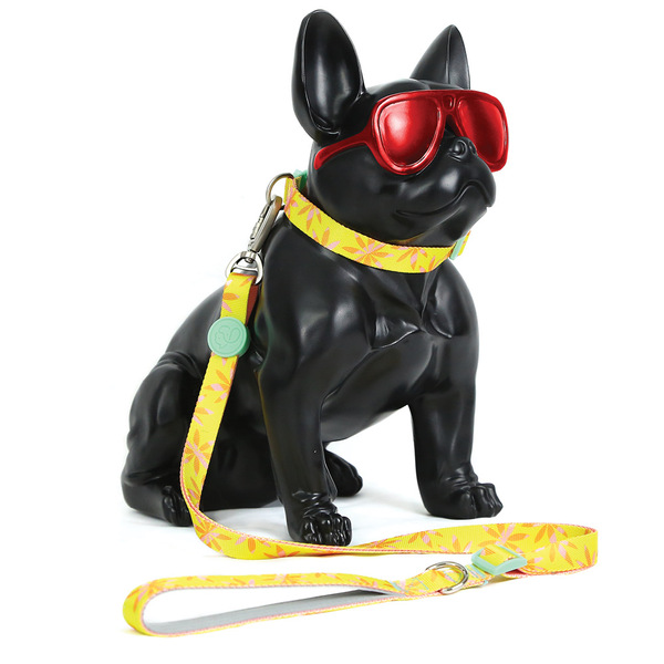 Coleira E Guia Para Cachorro Madog Floral P