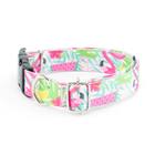 Coleira E Guia Smooty Pet Flamingo M Kit