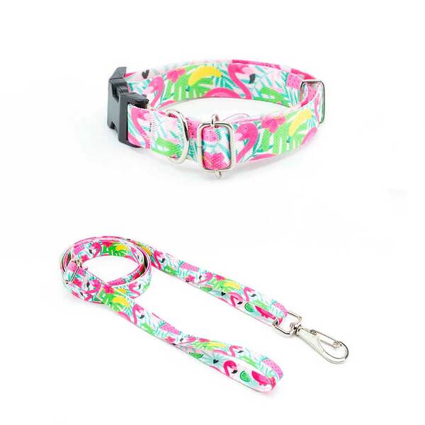 Coleira E Guia Smooty Pet Flamingo P Kit