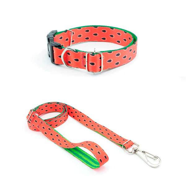 Coleira E Guia Smooty Pet Melancia M Kit