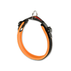 Coleira Ergocomfort Fluo Ferplast Laranja