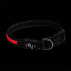 Coleira Led 3 Funções Vermelha Tam. P Mimo - Pp089