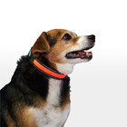 Coleira Led 3 Funções Vermelha Tam. P Mimo - Pp089