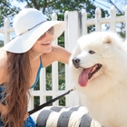 Coleira Modernpet Preta Fecho Nylon Tam. Media