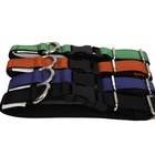 Coleira Modernpet Verde Fecho Nylon Tam. Pequena