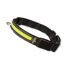 Coleira Night Ferplast - G