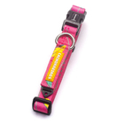 Coleira para Cachorro P Poliéster Cachorreiros