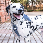 Coleira Peitoral Antipuxão Comfort Com Guia De Passeio Azul M