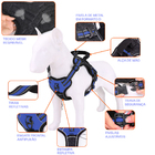 Coleira Peitoral Antipuxão Madog Power Azul + Guia Elástica P