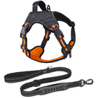 Coleira Peitoral Antipuxão Madog Power Larnj + Guia Elástica G