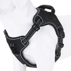 Coleira Peitoral Antipuxão Madog Power Preta + Guia Elástica M