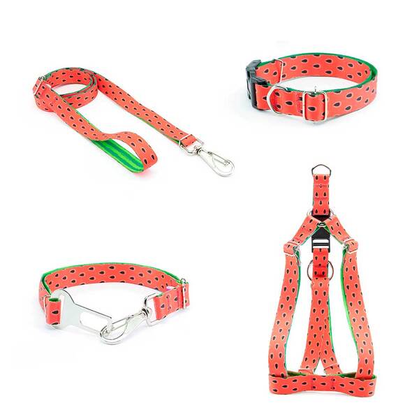 Coleira Peitoral Guia E Cinto De Seg Smooty Pet Melancia M