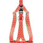 Coleira Peitoral Guia E Cinto De Seg Smooty Pet Melancia M