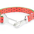 Coleira Peitoral Guia E Cinto De Seg Smooty Pet Melancia P