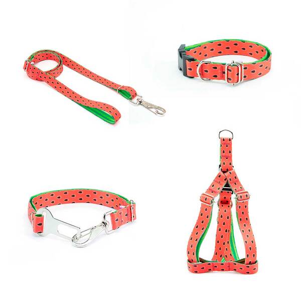 Coleira Peitoral Guia E Cinto De Seg Smooty Pet Melancia P