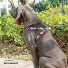 Coleira Peitoral Para Cachorro Madog Triângulos M