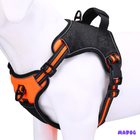 Coleira Peitoral Power + Guia Elástica Cachorro Madog Laranj M
