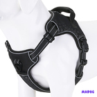 Coleira Peitoral Power + Guia Elástica Cachorro Madog Preto P