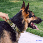 Coleira Resistente Para Cachorro Grande Forte Madog Comander