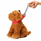 Coleira Semi Enforcadora Cachorro Cao Pet Corrente Ajustavel