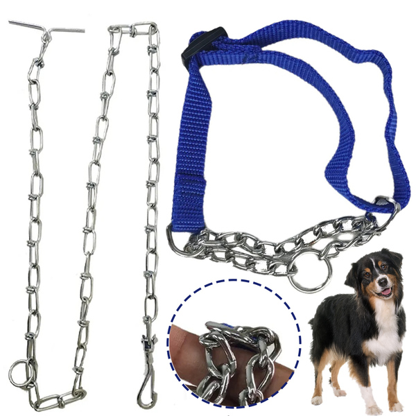 Coleira Semi Enforcadora Cao Dog Cachorro Ajustavel Kit Passe