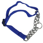 Coleira Semi Enforcadora Cao Dog Cachorro Ajustavel Kit Passe