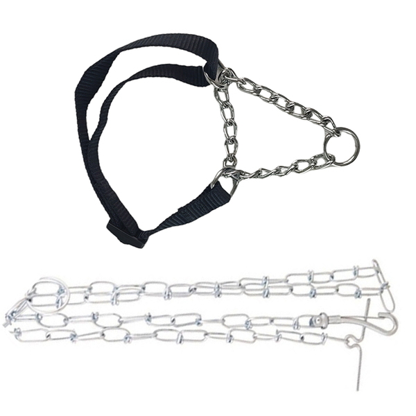 Coleira Semi Enforcadora Kit Corrente Aço Elo Torcido Ajustav