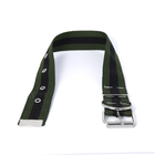 Coleira Super Reforçada Para Cães 55cm Nº 6 40mm Ld Pet  Verde