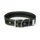 Coleira Super Reforçada Para Cães 55cm Nº 6 40mm Ld Pet  Verde
