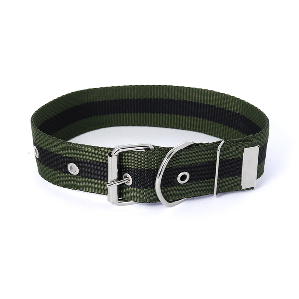 Coleira Super Reforçada Para Cães 70cm Nº 9 40mm Ld Pet  Verde