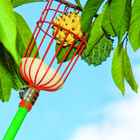 Colhedor de Frutas Metal 32x15x15cm Trapp