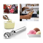 Colher De Sorvete Em Inox Com Ejetor